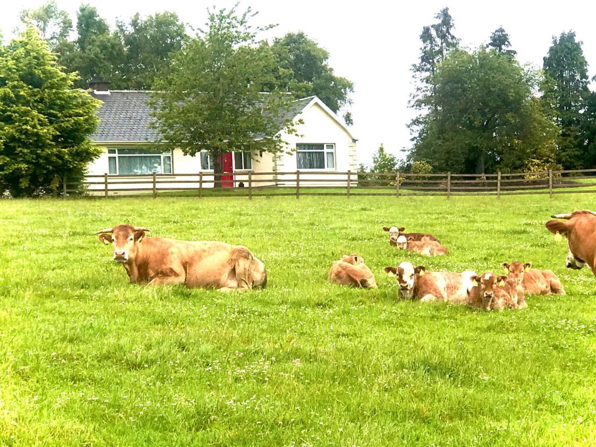 Knocknagore Cottage Gilford 외부 사진